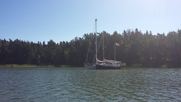 20160723_092831[1].jpg