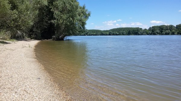 20170608_115932.jpg