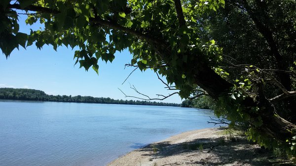 20170608_120018.jpg