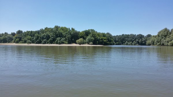 20170609_114150.jpg