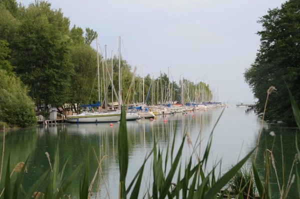 IMG_5888.JPG