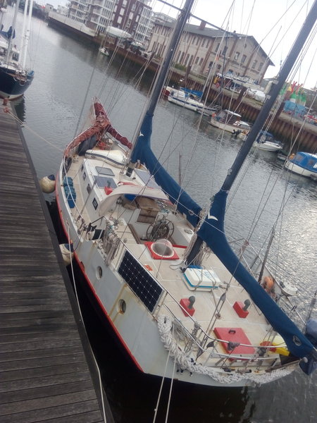 IMG_20180824_082428.jpg