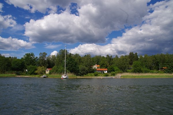IMGP6811.jpg