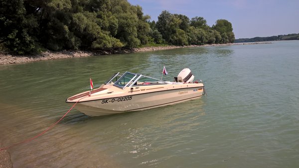 Hellwig Triton TS.jpg