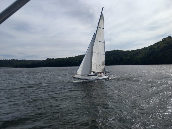 IMAG1126.jpg