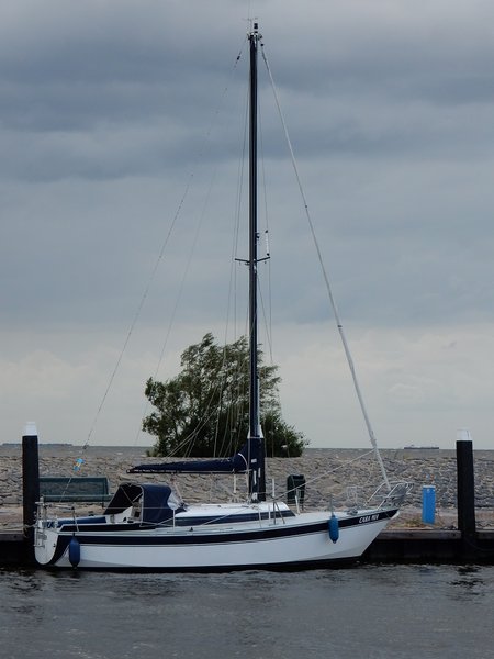 DSCN2917.JPG