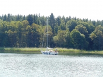 08_IMG_DSCN4636