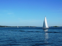 42_IMG_DSCN4699